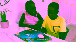 Collins Education Weird but true 2025 Ad Commercial Brand Imagery Photoshoot 0