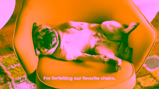 Freshpet We The Freshpet People Ad Commercial Brand Imagery Photoshoot 1