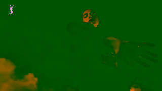Yves Saint Laurent LIBRE FLOWERS FLAMES l Hero Video Duo l YSL BEAUTY l 20s Ad Commercial Brand Imagery Photoshoot 1