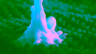 Downy PGDY9924000H Downy More Than A Shirt 15 ENG OLV 16x9 Ad Commercial Brand Imagery Photoshoot 0