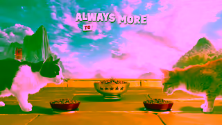 Friskies Explore the World of Friskies Dry Cat Food Always More to Explore Ad Commercial Brand Imagery Photoshoot 2