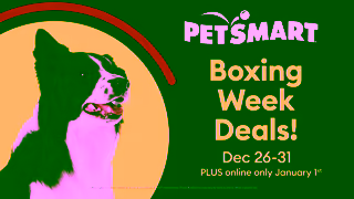 PetSmart Boxing Week PetSmart Ad Commercial Brand Imagery Photoshoot 0