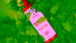 Old Spice Grace Wells Lavender Mint HBL 06s Old Spice Ad Commercial Brand Imagery Photoshoot 0