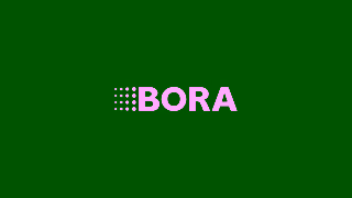 BORA BORA Cool Combi Bumper Ad Commercial Brand Imagery Photoshoot 2