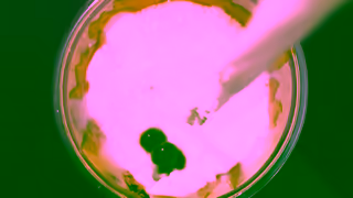Chatime Chatime Cups Of Joy Ad Commercial Brand Imagery Photoshoot 0