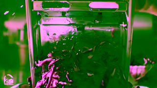 Taco Bell NEW Bowls Taco Bell Canada Ad Commercial Brand Imagery Photoshoot 1