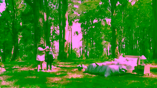 Ecosa Ecosa AU 35 OFF Sale Essence Forest EGC V1 Trim Ad Commercial Brand Imagery Photoshoot 1