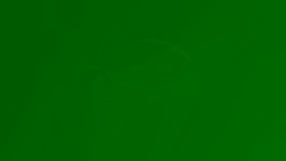 Disney Plus FXs The Bear Ad Commercial Brand Imagery Photoshoot 2