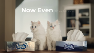 ROYALE More Kitteny Softness Ad Commercial Brand Imagery Photoshoot 2