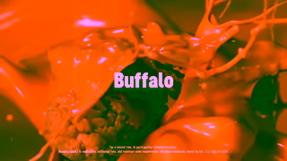 Dairy Queen DQ PROD 1 OLV Cutdown Sauced and Tossed Duo CAN 16x9 1 Ad Commercial Brand Imagery Photoshoot 1