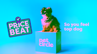 PetCircle Pet Circle Top Dog Ad Snuggles 6 Ad Commercial Brand Imagery Photoshoot 1