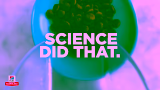 Hill's Switch to Science Diet Ad Commercial Brand Imagery Photoshoot 1