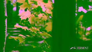 Vermont Tourism Peace and Serenity in Vermonts Green Mountains Ad Commercial Brand Imagery Photoshoot 1