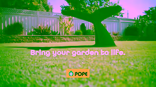 Pope Bring your garden to life Ad Commercial Brand Imagery Photoshoot 1