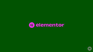 Elementor 16 Pain Points 501 Web Creator Optimizing Ad Commercial Brand Imagery Photoshoot 2