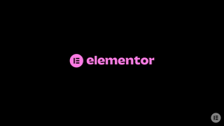 Elementor 16 Pain Points 501 Web Creator Optimizing Ad Commercial Brand Imagery Photoshoot 2