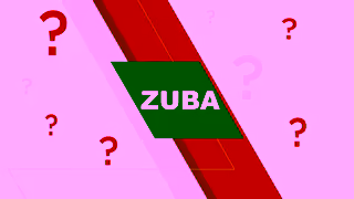 Mitsubishi Electric ZUBA Cold Climate 30s Ad Commercial Brand Imagery Photoshoot 0