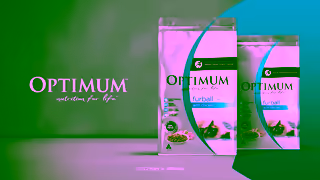 Optimum Pet OPTIMUM Lucky You Do 2022 Furball Ad Commercial Brand Imagery Photoshoot 2