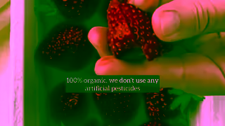 Riverford Organic Farmers Consideration 30s 1920x1080px Ad Commercial Brand Imagery Photoshoot 1