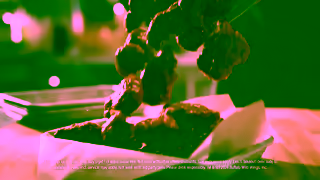 Buffalo Wild Wings BOGO Free Boneless Thursdays Revised Ad Commercial Brand Imagery Photoshoot 2