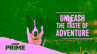 Purina Purina PrimeTM Unleash The Taste of Adventure Ad Commercial Brand Imagery Photoshoot 0