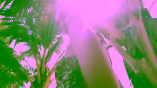 Runaway the Label Marlais Part II 1200 x 628 Ad Commercial Brand Imagery Photoshoot 0