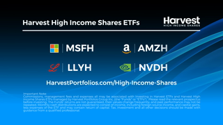 Harvest ETFs Harvest High Income Shares ETFs with Top US Stocks Ad Commercial Brand Imagery Photoshoot 2