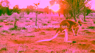 Riviera Travel New for 2025 Highlights of Australia tour Ad Commercial Brand Imagery Photoshoot 0