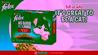 Purina Tell us why Its Great To Be A Cat Ad Commercial Brand Imagery Photoshoot 0