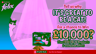 Purina Tell us why Its Great To Be A Cat Ad Commercial Brand Imagery Photoshoot 1
