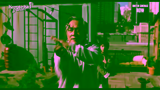 Sony Pictures Karate Kid Legends Make Your Mark 30 Only In Cinemas Now Ad Commercial Brand Imagery Photoshoot 1