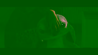 Disney Lilo Stitch In Theaters May 23 Ad Commercial Brand Imagery Photoshoot 2