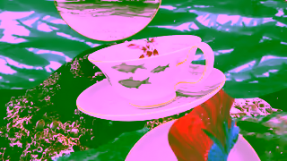 WEDGWOOD Wedgwood Voyage of the Beagle Ad Commercial Brand Imagery Photoshoot 2