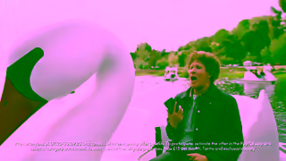 PayPal Swan YT 15s 16x9 Ad Commercial Brand Imagery Photoshoot 1