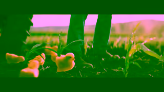 Kellogg's Kelloggs Corn Flakes Taste the Simple Goodness 30s Ad Commercial Brand Imagery Photoshoot 0