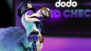 Dodo NBN YouTube 15s 29th OCT Ad Commercial Brand Imagery Photoshoot 0