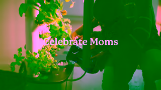 Gardyn Mothers Nurture Ad Commercial Brand Imagery Photoshoot 1