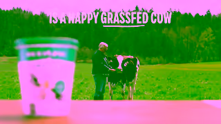 Olympic Dairy Olympic Organic yogurt from Happy grassfed cows Made in Canada Ad Commercial Brand Imagery Photoshoot 1