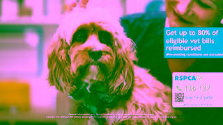 RSPCA RSPCA Pet Insurance Neighbours 60 secs Ad Commercial Brand Imagery Photoshoot 0