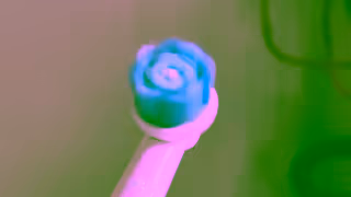 SURI SURI Bulky Toothbrush WD 30s v2 Ad Commercial Brand Imagery Photoshoot 0