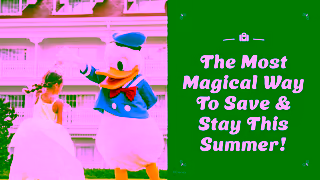 Disney Parks Disney Summer Savings Ad Commercial Brand Imagery Photoshoot 0