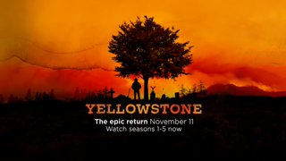Stan Yellowstone S5B Catch up 15 Ad Commercial Brand Imagery Photoshoot 2