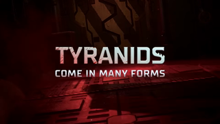 Owlcat Games Tyranids 20 Ad Commercial Brand Imagery Photoshoot 0