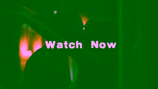 UMusic RileyGreen V WorstWay SocialXdown 1 Wide V1 FNL Ad Commercial Brand Imagery Photoshoot 2