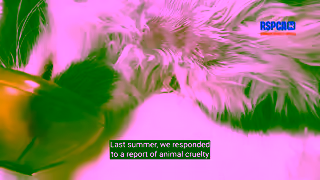RSPCA.org.uk inspectorcrueltystorysupporterroleberliozsummer1920x1080 Ad Commercial Brand Imagery Photoshoot 1