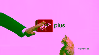 Virgin Plus With prices this affordable you dont need adorable kittens to convince you Ad Commercial Brand Imagery Photoshoot 2