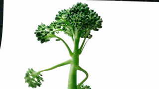 Tenderstem Broccoli A roast worth sharing Ad Commercial Brand Imagery Photoshoot 0