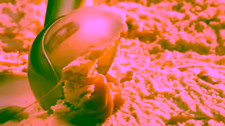 Connoisseur Connoisseur Murray River Salted Caramel Tub Ad Commercial Brand Imagery Photoshoot 1