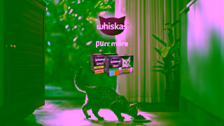Whiskas Its Purr OClock Ad Commercial Brand Imagery Photoshoot 2