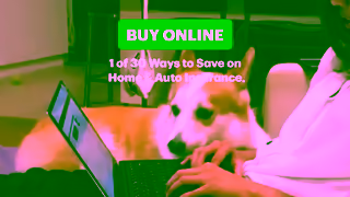 TD Insurance 25ININGVBuyOnline06sENVID16x9ALLmp4 Ad Commercial Brand Imagery Photoshoot 0